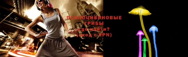 дживик Алексеевка
