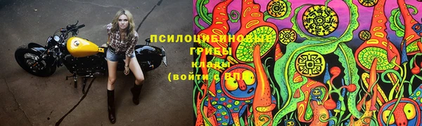 дживик Алексеевка
