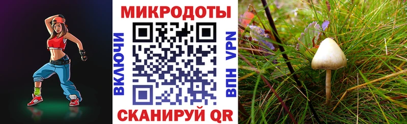 OMG   Кемь  Галлюциногенные грибы Magic Shrooms 